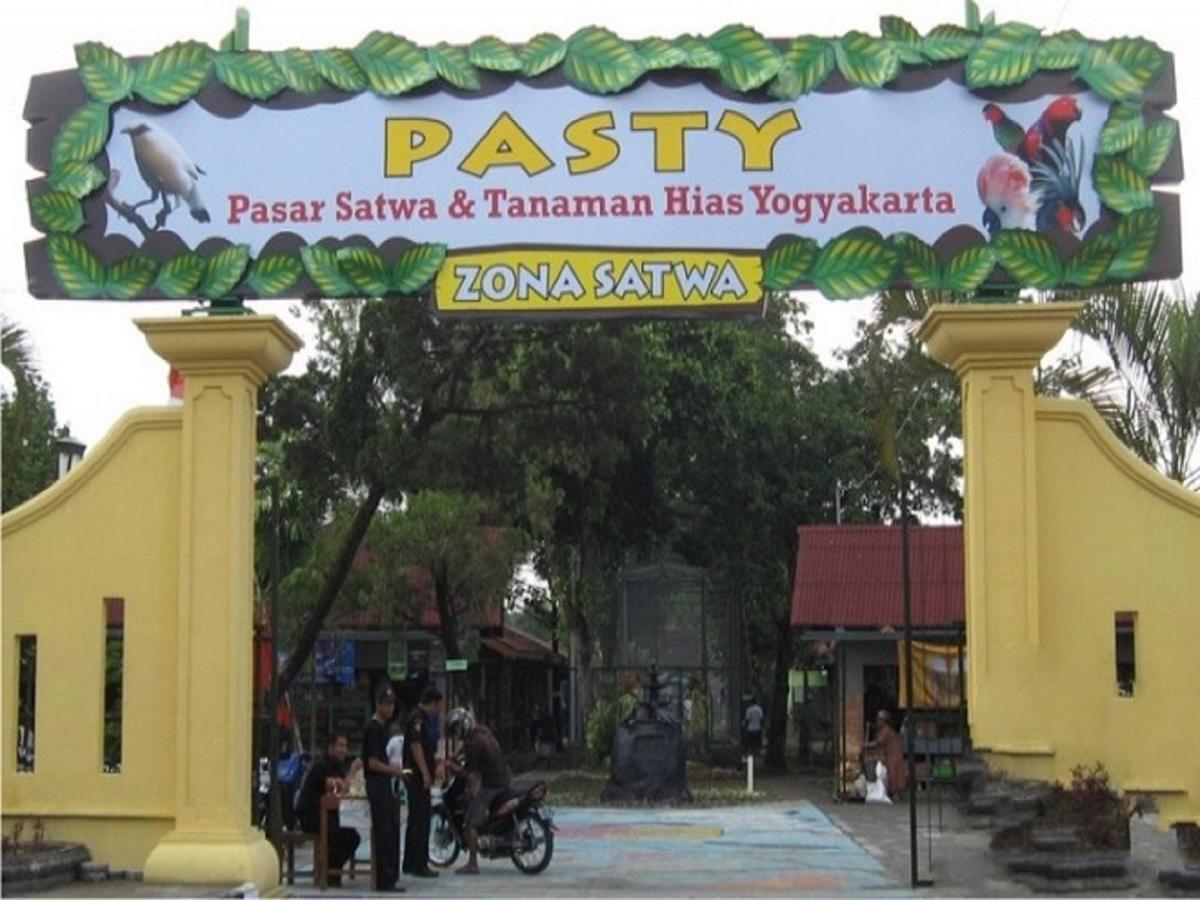La Javanaise Home Stay Malioboro Yogyakarta Eksteriør billede
