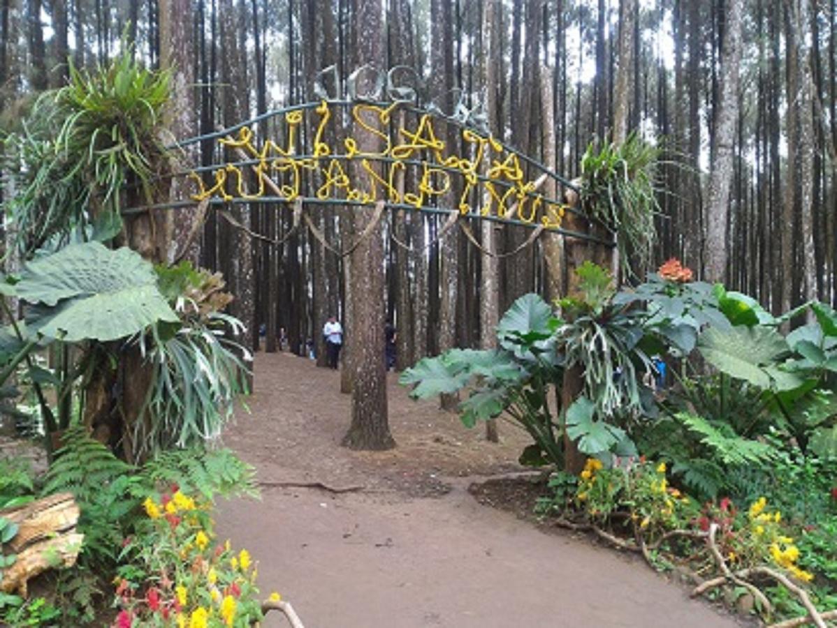 La Javanaise Home Stay Malioboro Yogyakarta Eksteriør billede